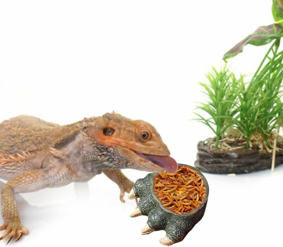 Reptiles & Amphibian BNOSDM | Bnosdm Reptile Food Bowls Amphibian Feeding Resin Dish,Reptile Tank Decor Bowl For Lizards, Chameleon, Leopard Gecko, Frog, Bearded Dragons, Snake, Hermit Crabs, Turtle Spider Pet