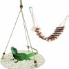 Reptiles & Amphibian Tfwadmx | Reptile Hammock Bearded Dragon Lounger Swing Toy Hanging Bed Terrarium Habitat Decor With Climbing Ladder For Chameleon Lizard Gecko Snake Iguana