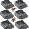 Reptiles & Amphibian DQITJ | 6 Pack Tarantula Water Bowl Hermit Crab Resin Dish For Reptile Tarantula Spider Millipede Insect (Large: 0.94\" D, 0.47\" H)