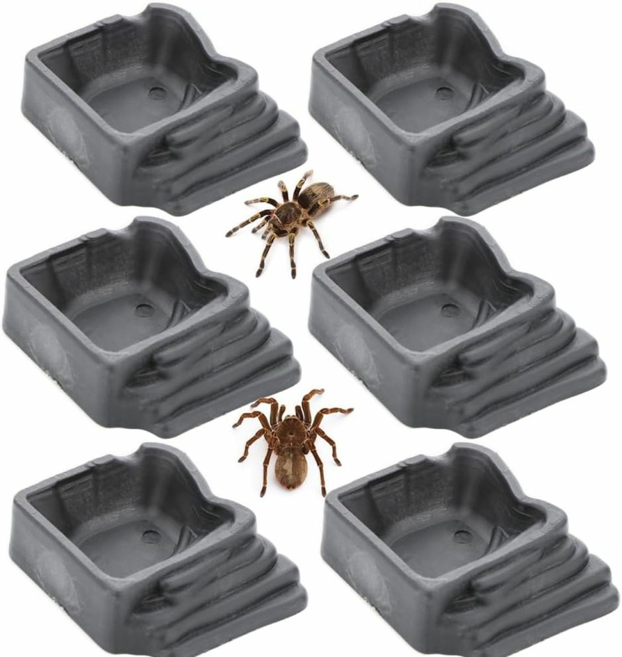 Reptiles & Amphibian DQITJ | 6 Pack Tarantula Water Bowl Hermit Crab Resin Dish For Reptile Tarantula Spider Millipede Insect (Large: 0.94\" D, 0.47\" H)