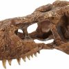 Reptiles & Amphibian Exo Terra | Exo Terra T-Rex Skull Terrarium Decor