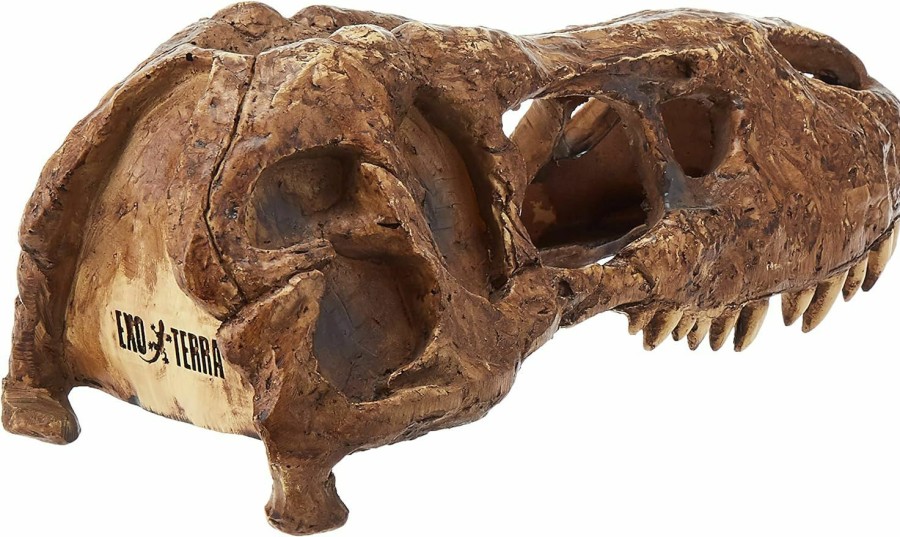 Reptiles & Amphibian Exo Terra | Exo Terra T-Rex Skull Terrarium Decor