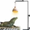 Reptiles & Amphibian Patioer | Patioer Reptile Lamp Stand Pet Lamp Bracket Adjustable Metal Floor Light Lamp Holder Lamp Support For Reptile Succulent Plants Glass Terrarium Heating Light, Small Size