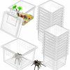 Reptiles & Amphibian Nuanchu | 20 Pcs Insect Spider Terrariums Breeding Box Small Reptile Hatching Container Transparent Cricket Keeper Breeder Box Feeding Spider Cage With Lid For Scorpion Gecko Tortoise Centipede Tarantula