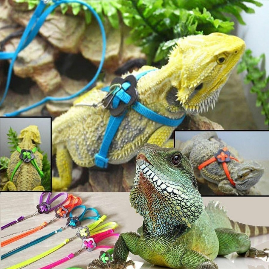 Reptiles & Amphibian Hypeety | Reptile Lizard Outdoor Walk Adjustable Harness Leash Anti-Bite Light Soft Bearded Dragon Accessories Parrot African Grey Cockatoo Macaw Ringneck Parakeet Outside Free Lovebird Supplies (Random Color)