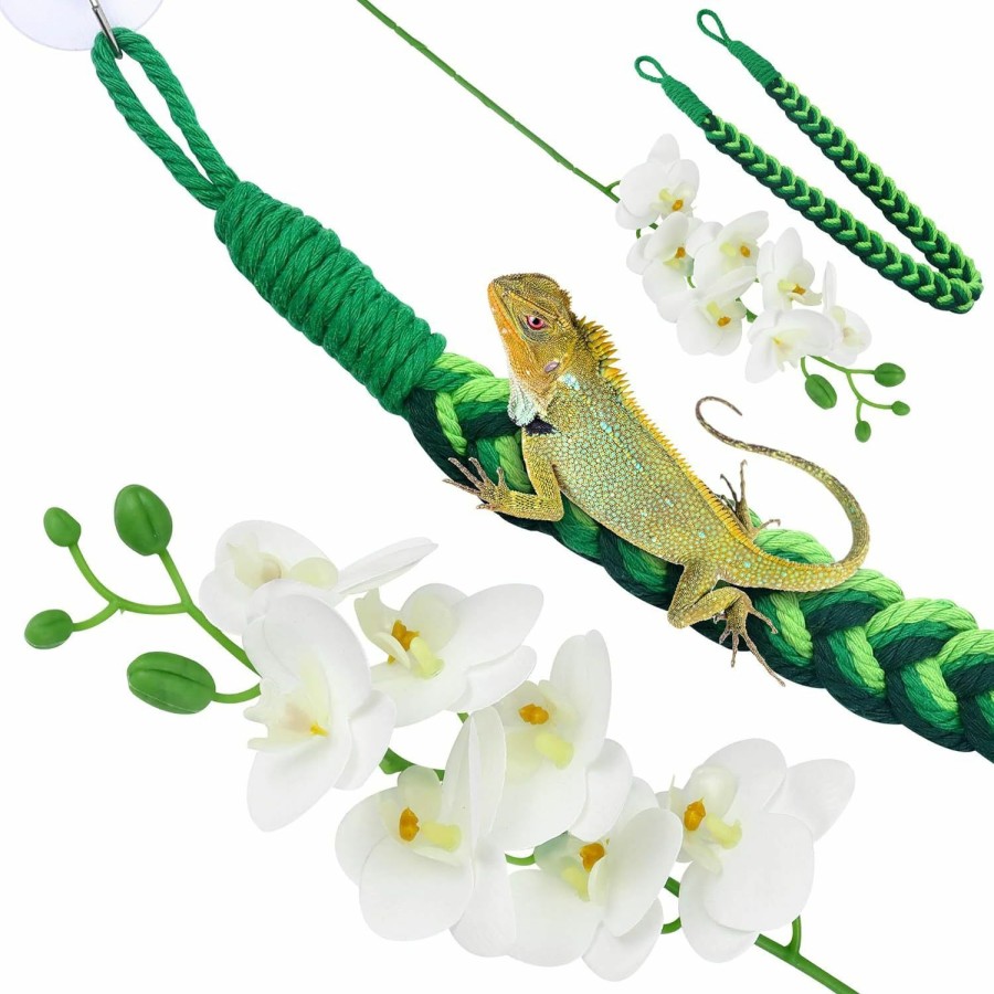 Reptiles & Amphibian Nobgum | Nobgum Reptile Plants,Reptile Decorations With Suction Cups Jungle Climber Long Vines,Leopard Gecko Tank Accessories For Hermit Crab Lizards Geckos Snake