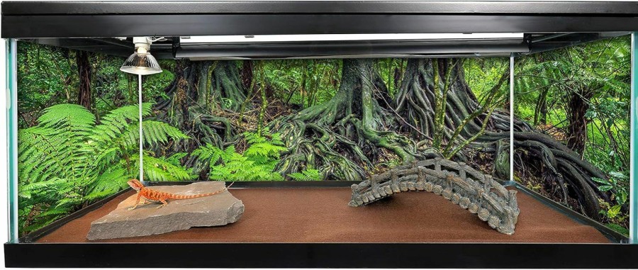 Reptiles & Amphibian CAROLINA CUSTOM CAGES | Carolina Custom Cages Reptile Habitat Background; Rain Forest Ferns & Roots For 20L, 3-Sided Wraparound