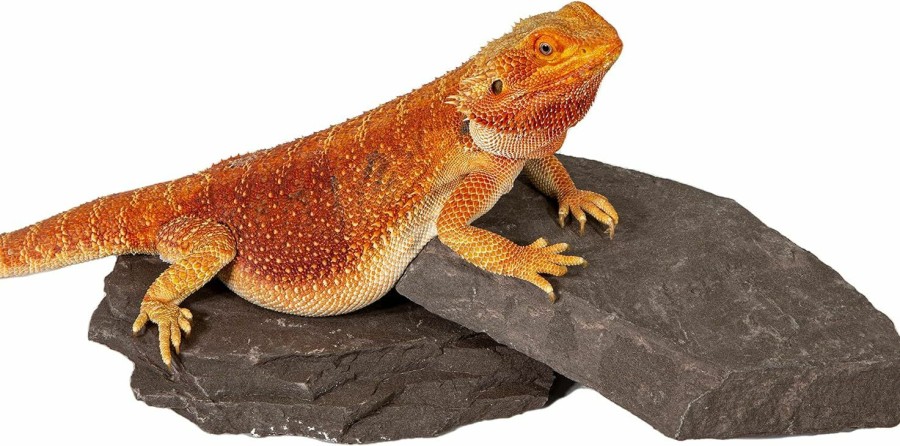 Reptiles & Amphibian CAROLINA CUSTOM CAGES | Carolina Custom Cages Natural Habitat Rocks, Deep Maroon, One Large Size