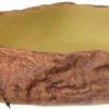 Reptiles & Amphibian Exo Terra | Exo Terra Water Dish, Water Bowl For Reptiles, Large, Pt2803