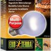 Reptiles & Amphibian Exo Terra | Exo Terra Sun-Glo Neodymium A19 Lamp, 60-Watt (4 Pack)