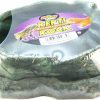 Reptiles & Amphibian Zoo Med | Zoo Med Repti Rock Reptile Food Water Dishes (Medium)