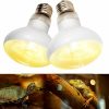 Reptiles & Amphibian Haceryc | Haceryc Basking Bulb For Bearded Dragon, 100W Uva Reptile Heat Lamp Bulbs For Pet/Amphibian, Basking Spot Heat Lamps For Turtle Tank Bearded Dragon, White Daylight Bulb For/Lizard/Chickens/Hedgehogs