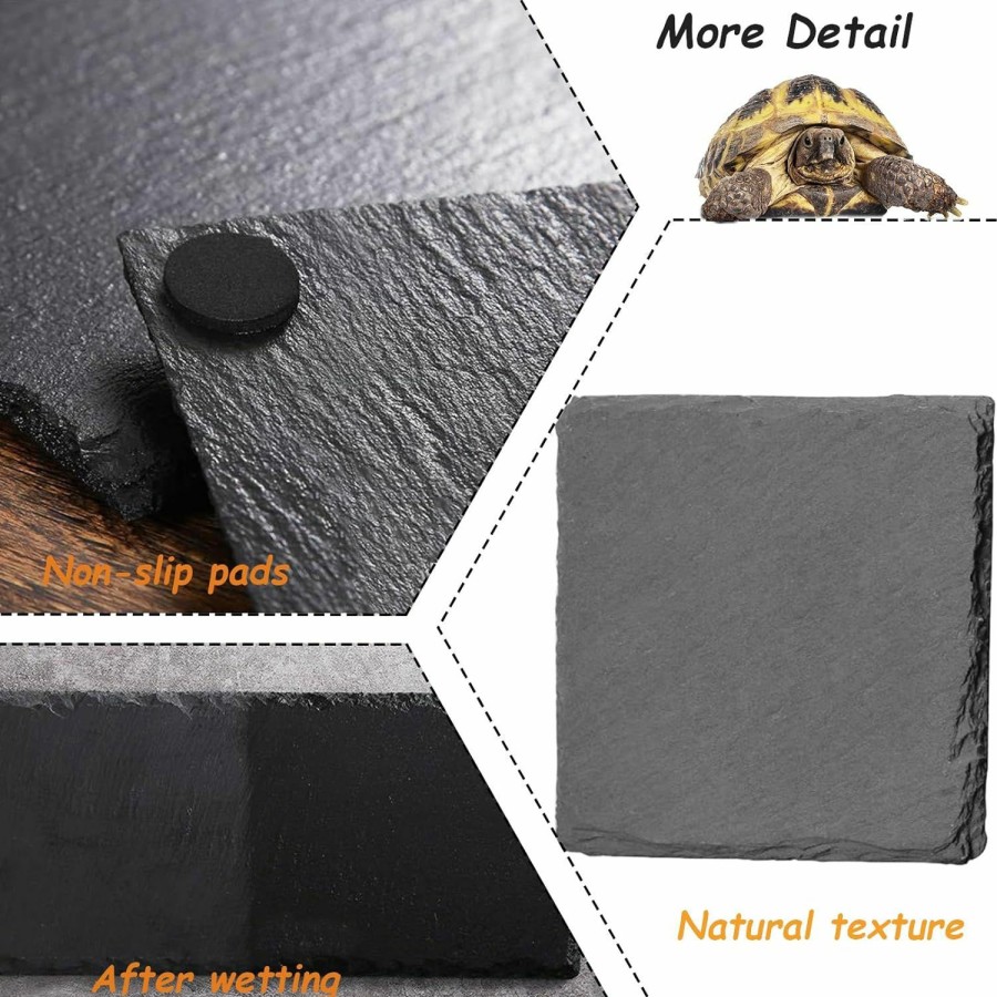 Reptiles & Amphibian Tfwadmx | Reptile Basking Platform 2Pcs Tortoise Rock Plate Slate Feeding Platform Food Dish Bowl Turtle Bathing Rock Rest Terrace For Chameleon Lizard Bearded Dragon Gecko Snake Frog Newt (7.8''/20Cm)