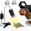 Reptiles & Amphibian JackSuper | Jacksuper 75W Reptile Heat Lamp, Turtle Heating Light Uva Uvb Temperature Adjustable 360 Rotatable Clip Basking Lamp For Amphibian Reptile Turtle Lizard Snake (Heat Light With 2Pcs 75W Bulb)