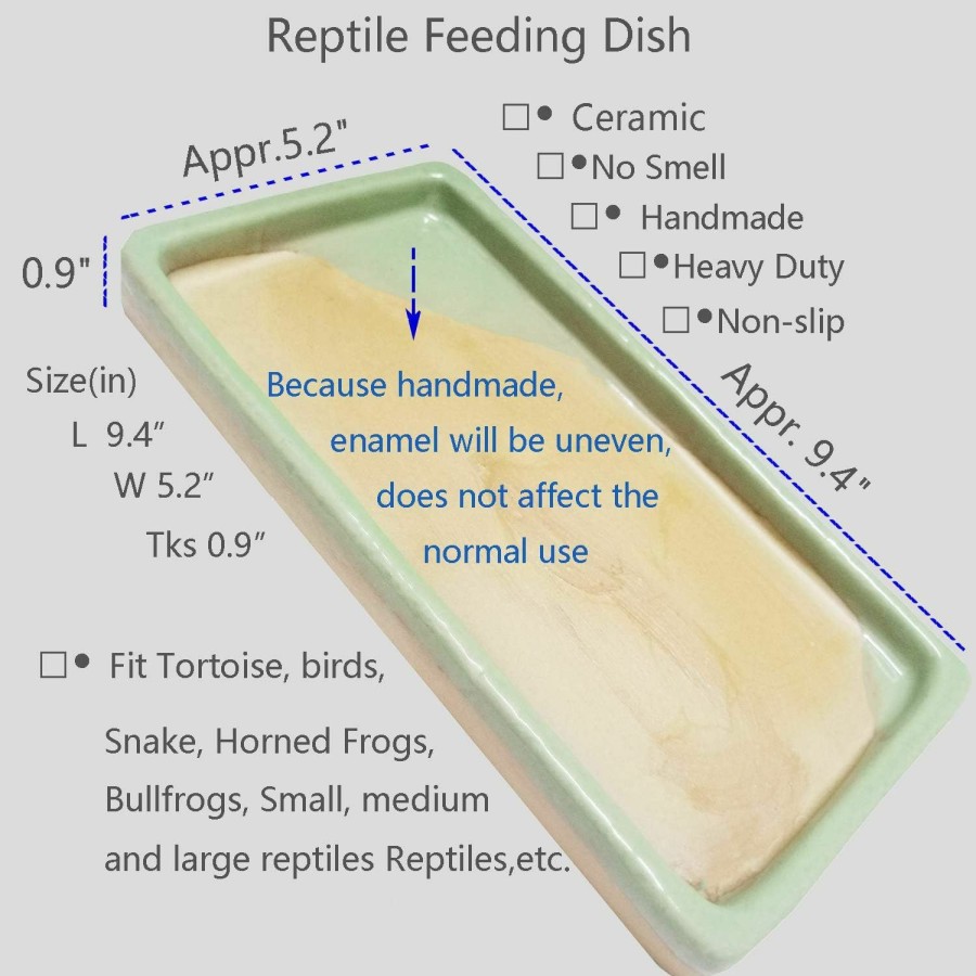 Reptiles & Amphibian Fuongee | Fuongee Reptile Feeding Dish Bowl Food And Water Bowl Tortoise Dish Reptile Tank Decor, Heavy Duty Ceramic Feeding Dish, Large Size