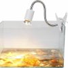 Reptiles & Amphibian Cerlingwee | Reptile Heat Lamp, Eco-Friendly Provides Essential Lights Reptile Heating Light For Reptile Lizard Turtles For Lizard For Turtles(50W)