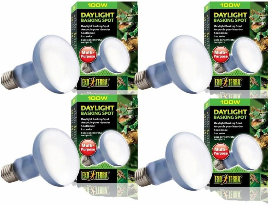 Reptiles & Amphibian Exo Terra | Exo Terra Sun-Glo Basking Spot Lamp, 100-Watt/120-Volt (4 Pack)