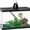 Reptiles & Amphibian Aqueon | Zilla Basic Tropical Reptile Starter Kit, 10 Gallon Terrarium, For Juvenile Tropical Pets