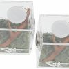 Reptiles & Amphibian STOBOK | 2Pcs Reptile Terrarium, Jumping Spider Enclosure Acrylic Critter Keeper Spider Breeding Cage Micro Habitat Terrariums Snail Container House For Reptiles, 3.5X4Cm