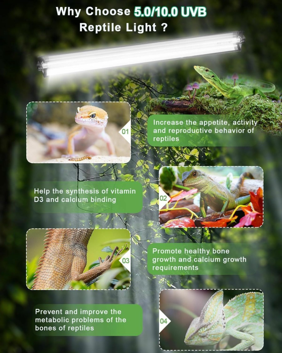 Reptiles & Amphibian Ycxydr | Ycxydr 8W T5 Ho Uvb Reptile Light Fixture Kit, Terrarium Hood Light With Reptile Light Desert Uvb 10.0 Fluorescent Tube,Terrarium Hood Light Suitable