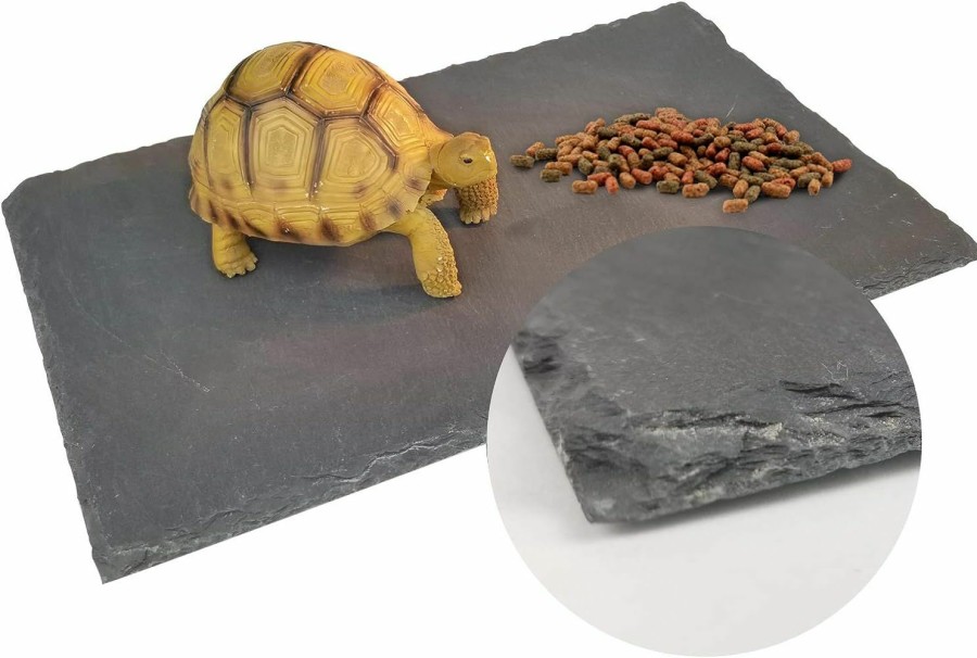 Reptiles & Amphibian BINANO | Binano Tortoise Habitat Basking Rock Feeding Dish Bowl Bearded Dragon/Lizard Original Rock Slab,Easy To Grind The Nails,With Non-Slip Mats,Natural Food Bowl,Moisturizing Effect(Medium- Size)