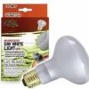 Reptiles & Amphibian Kent Marine | Day White Light Incandescent Spot Bulb