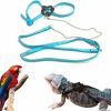 Reptiles & Amphibian Sawyd | Lizard Leash Bearded Dragon Harness Adjustable Reptile Lizard Harness Leash Parrot Harness Turtle Lizard, Suitable For Gecko Hamster Kitten Small Animal Outdoor Walking - Blue