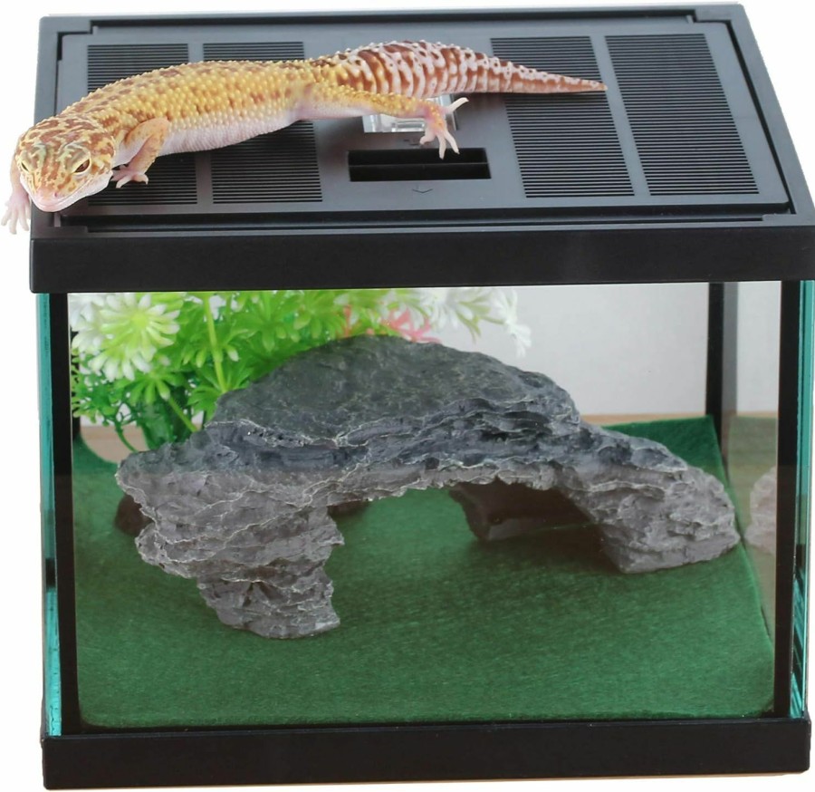 Reptiles & Amphibian crapelles | Crapelles Pink Small Lovely Vertical Insect Glass Terrarium Box,Reptile Tank,For Butterfly Larvae Caterpillar Stick Insects Frog Snail Spider Beetle Snake Habitat Container Tarantula Cricket Breeding