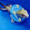 Reptiles & Amphibian Wxbzbhwxc | Wxbzbhwxc Small Animal Swimming Ring 3.74 Inch Reptile Amphibians Pool Float Bath Collar Ring For Lizard Bearded Dragon Ferret Hedgehog Hamster Squirrel Leopard Gecko 6 Pcs (Randomly 5Pcs)