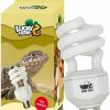 Reptiles & Amphibian LUCKY HERP | Lucky Herp Uva Uvb Reptile Light 10.0, Desert Uvb 150 Compact Fluorescent Lamp 23W