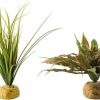 Reptiles & Amphibian Exo Terra | Exo Terra Star Cactus Terrarium Plant And Exo Terra Turtle Grass Plant (Star Cactus And Turtle Grass Bundle)