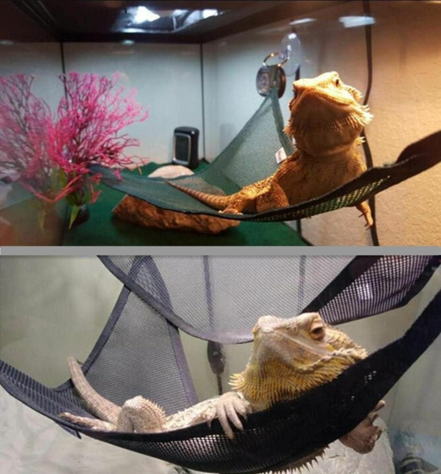 Reptiles & Amphibian Yitaocity | Yitaocity 2Pcs Reptile Hammock Loungers & Ladder Breathable Mesh, Triangular Hanging Net For Large & Small Bearded Dragons Anoles Geckos Lizards Or Snakes,19 13 13 Inch