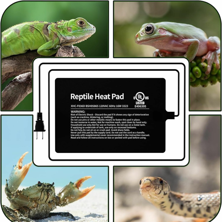 Reptiles & Amphibian BUCATSTATE | Bucatstate Reptile Heat Pad Under Tank Heater, 8 * 12 Inch 16W Met Certified Terrarium Heating Pad Mat For Hermit/Lizard/Spider/Frog/Turtle/Snake/Plant 30-40Gal Tank