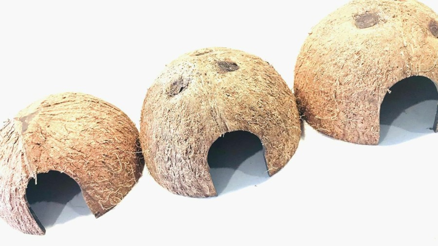 Reptiles & Amphibian Generic | Hexagrowth 3 Pc Coconut Hide, Natural Home For Guppies, Tetras, Betta Fish, Shrimp, Pleco, Perfect For Your Aquarium, Perfect Hideout For Spiders, Toad, Lizard And Small Crabs, 3 Half Shells (Small)