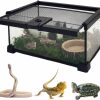 Reptiles & Amphibian Hamiledyi | Hamiledyi Mini Reptile Glass Terrarium Tank,12\"X8\"X6\" Micro Snake Habitat Transparent Hermit Crab Breeding Box Small Amphibians Enclosure Cage For Baby Tortoise Gecko Lizard