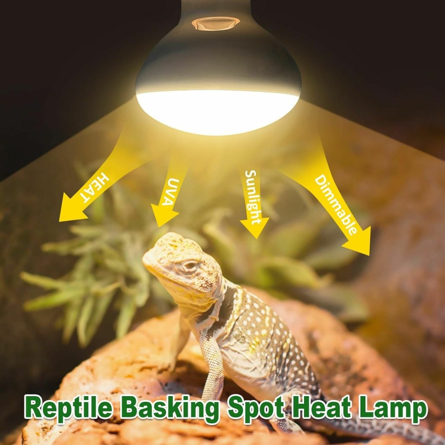 Reptiles & Amphibian MIXJOY | Mixjoy Reptile Heat Lamp 100W 2 Pack, Uva Daylight Basking Spot Light, Amphibians Basking Bulbs Heat Lamps, Heat Lamp Bulbs For Reptiles, Lizard, Tortoise, Bearded Dragon