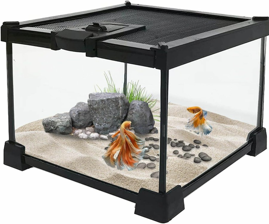 Reptiles & Amphibian kathson | Kathson 12X8X6 In Mini Reptile Glassterrarium Tank, 3 Gallon Full Glass Reptile Tank Full View Visually Appealing Reptile Amphibians Terrarium Glass Box Reptile Glass Habitat Cage For Bearded Dragons