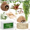 Reptiles & Amphibian Woiworco | Woiworco Bearded Dragon Tank Accessories, 22 Packs Reptile Habitat Accessories Kit, Lizard Hammock Climbing Jungle Vines, Artificial Leaves, Coconut Hut, And Shells Leopard Gecko Tank Accessories