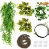 Reptiles & Amphibian PietyPet | Pietypet Artificial Hanging Plant, Terrarium Accessory, Hanging Plants, Artificial Plants, Reptiles, Terrarium, Climbing Leaves, Chameleon, Terrarium, Decoration For