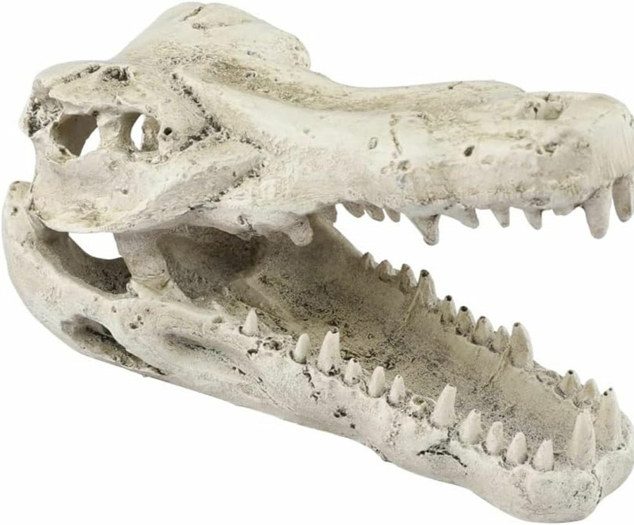 Reptiles & Amphibian Generic | Alligator Reptile Amphibian Skull Habitat Hide Premium Non-Toxic Resin For Aquariums & Terrariums Large Size