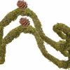 Reptiles & Amphibian Begeterday | Begeterday 2 Pack 25 Inch Hermit Crab Climbing Toys, Bendable Hermit Crab Supplies, Ideal Hermit Crab Habitat Tank Terrarium Accessories