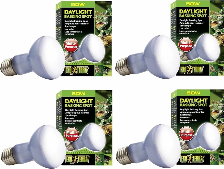 Reptiles & Amphibian Exo Terra | Exo Terra Sun-Glo Basking Spot Lamp, 50-Watt/120-Volt (4 Pack)