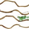 Reptiles & Amphibian Apatal | Apatal Reptile Branch Decor Snake Climbing Wood Branches Lizard Habitat Decorations Terrarium Wooden Tree Trunk Ornament For Bearded Dragon Snake Geckos Chameleon Frog 4 Pcs (S)