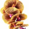 Reptiles & Amphibian Pangea | Pangea Reptile Hanging Orchid For Reptile Terrarium Decor (Yellow)