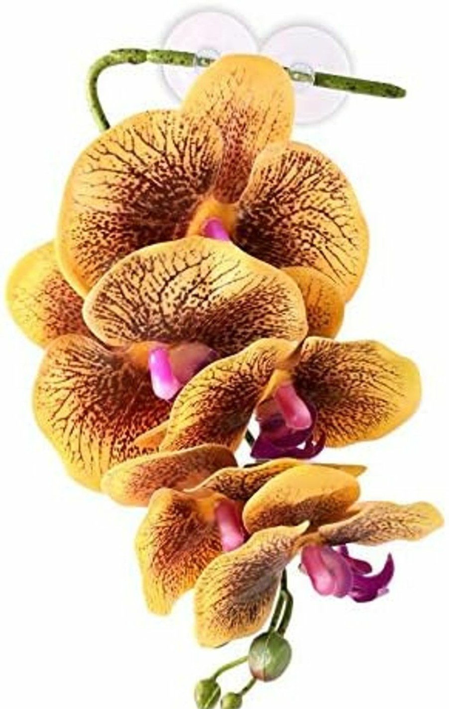 Reptiles & Amphibian Pangea | Pangea Reptile Hanging Orchid For Reptile Terrarium Decor (Yellow)