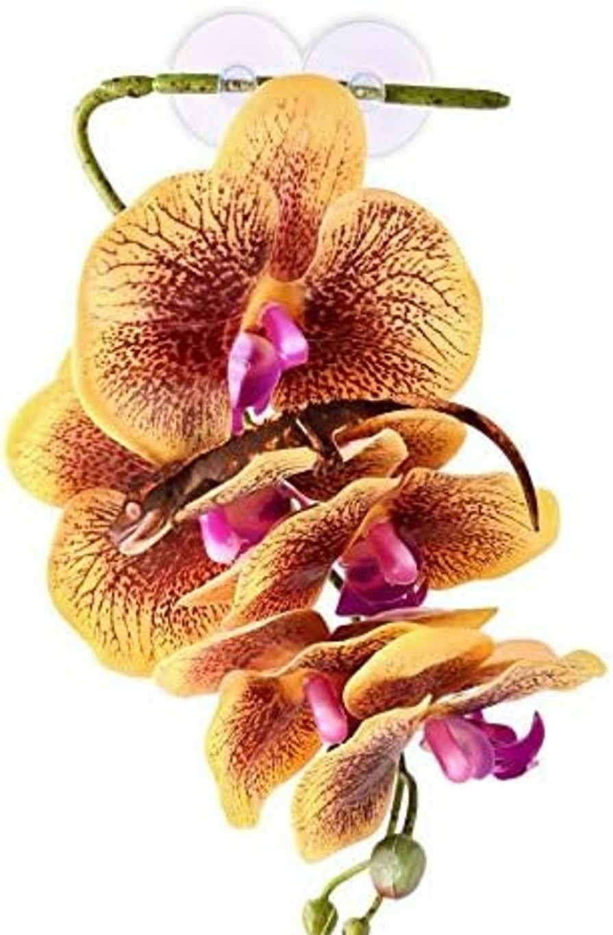 Reptiles & Amphibian Pangea | Pangea Reptile Hanging Orchid For Reptile Terrarium Decor (Yellow)