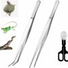 Reptiles & Amphibian alfyng | Alfyng 15 Inch Reptile Feeding Tongs Long Tweezers Cricket Clamp Bug Scooper, 3 Pcs Stainless Steel Straight And Curved Tweezers Feeder Tool For Snake Lizard Gecko Spider Bearded Dragon