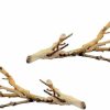 Reptiles & Amphibian Exo Terra | (2 Pack) Exo Terra Forest Branch, Small