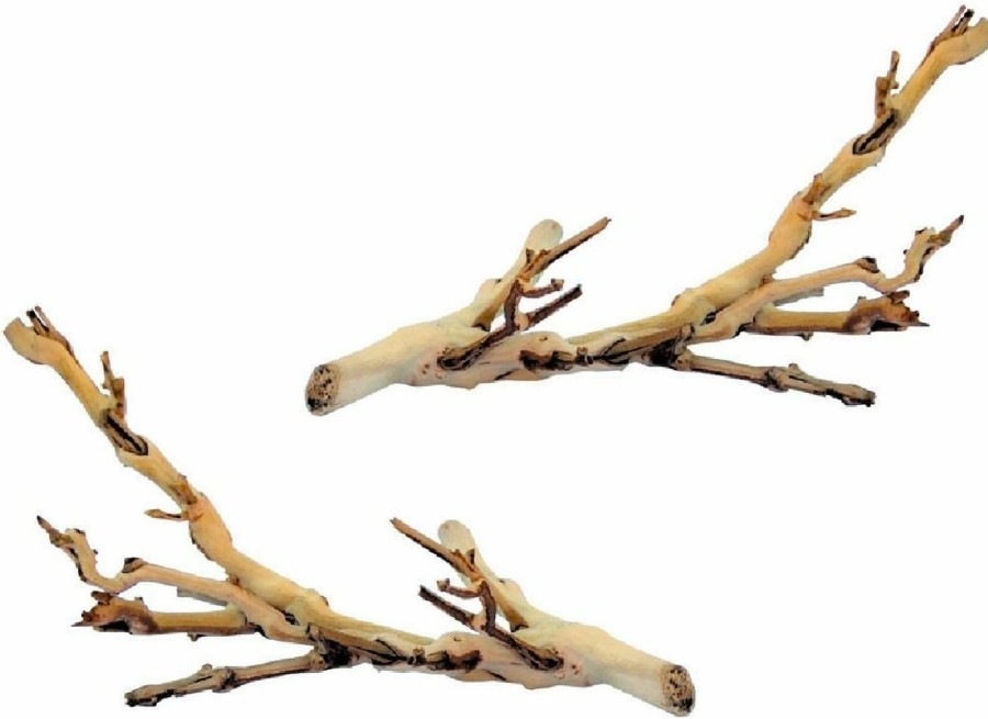 Reptiles & Amphibian Exo Terra | (2 Pack) Exo Terra Forest Branch, Small