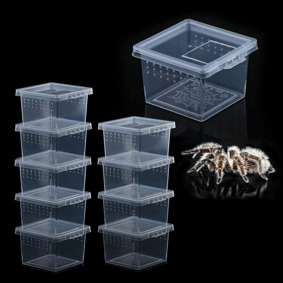 Reptiles & Amphibian DQITJ | 10 Pcs Insect Spider Terrariums Breeding Box Hatching Container Small Reptile Scorpion Centipede Acrylic Breeding Box (Small Size)